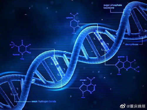 科技之光 环境科技如何重塑美容行业的未来